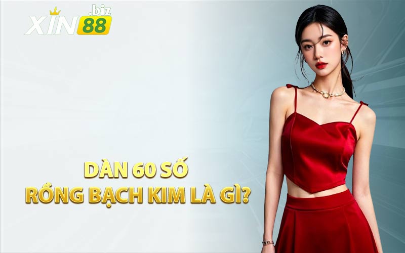 Dàn 60 Số Rồng Bạch Kim Là Gì?