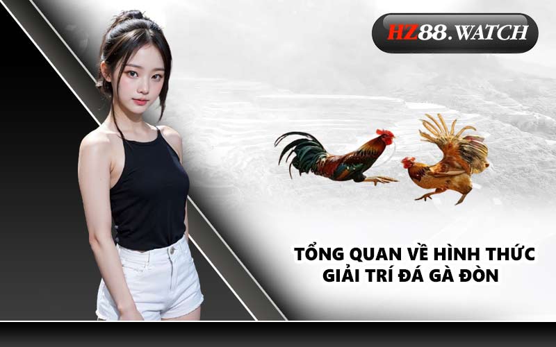 Tổng quan về hình thức giải trí đá gà đòn