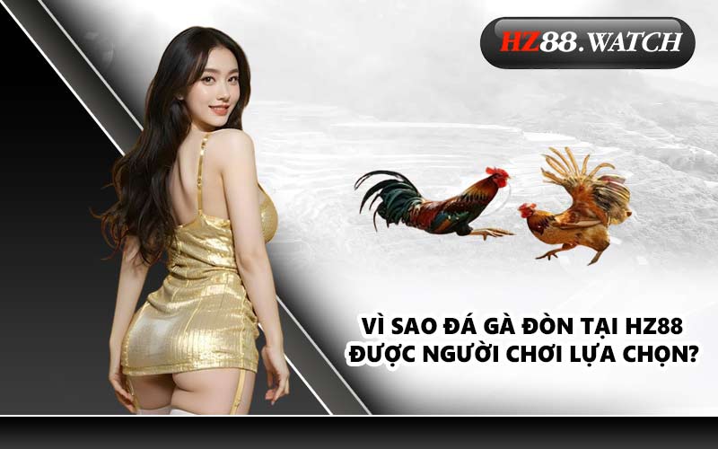 Vì sao đá gà đòn tại HZ88 được người chơi lựa chọn?